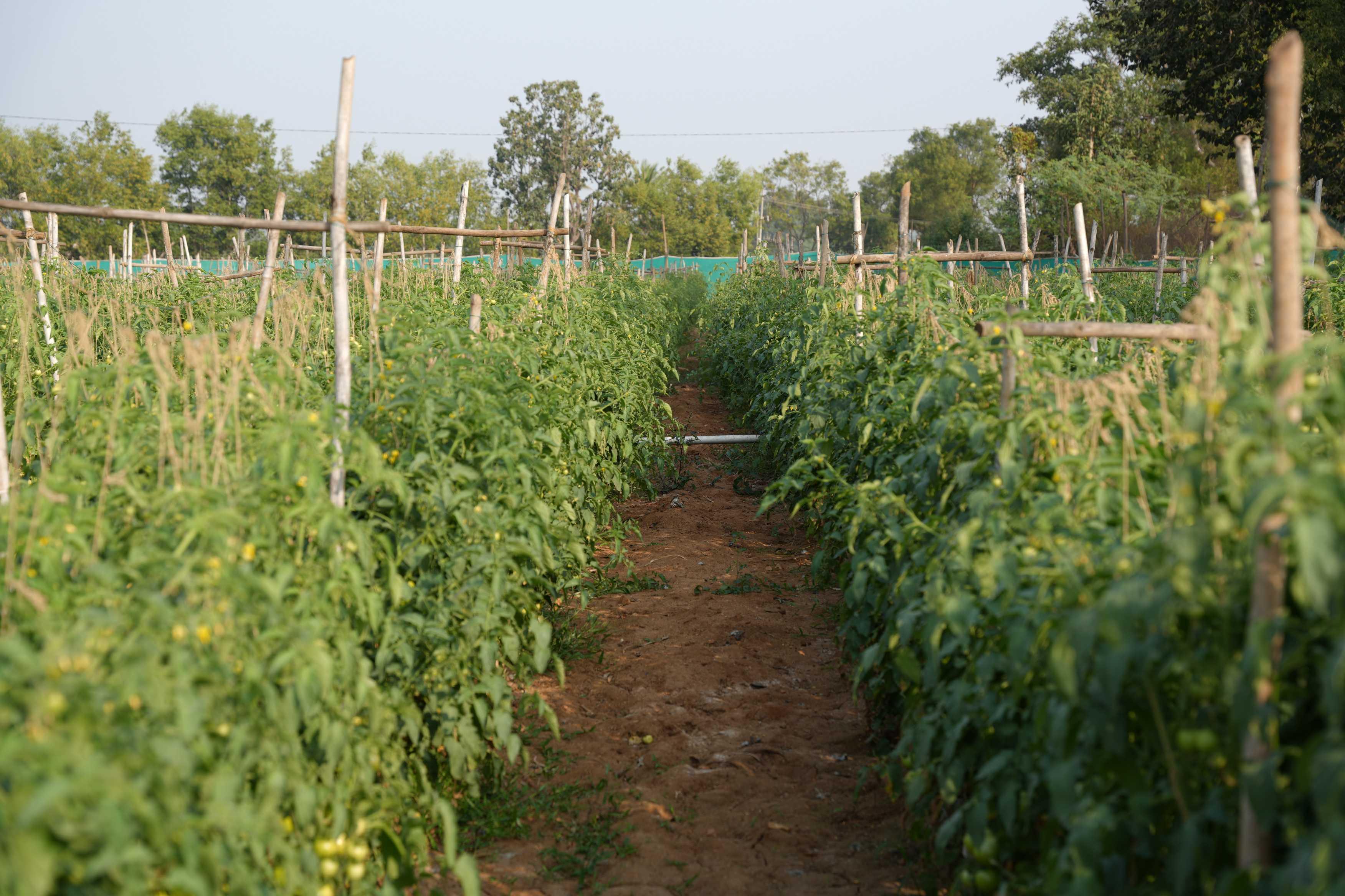 Vignana Jyothi Institute of Management Hyderabad Rural Immersion Program photo 18