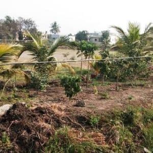 KMCOP Campus photo 6