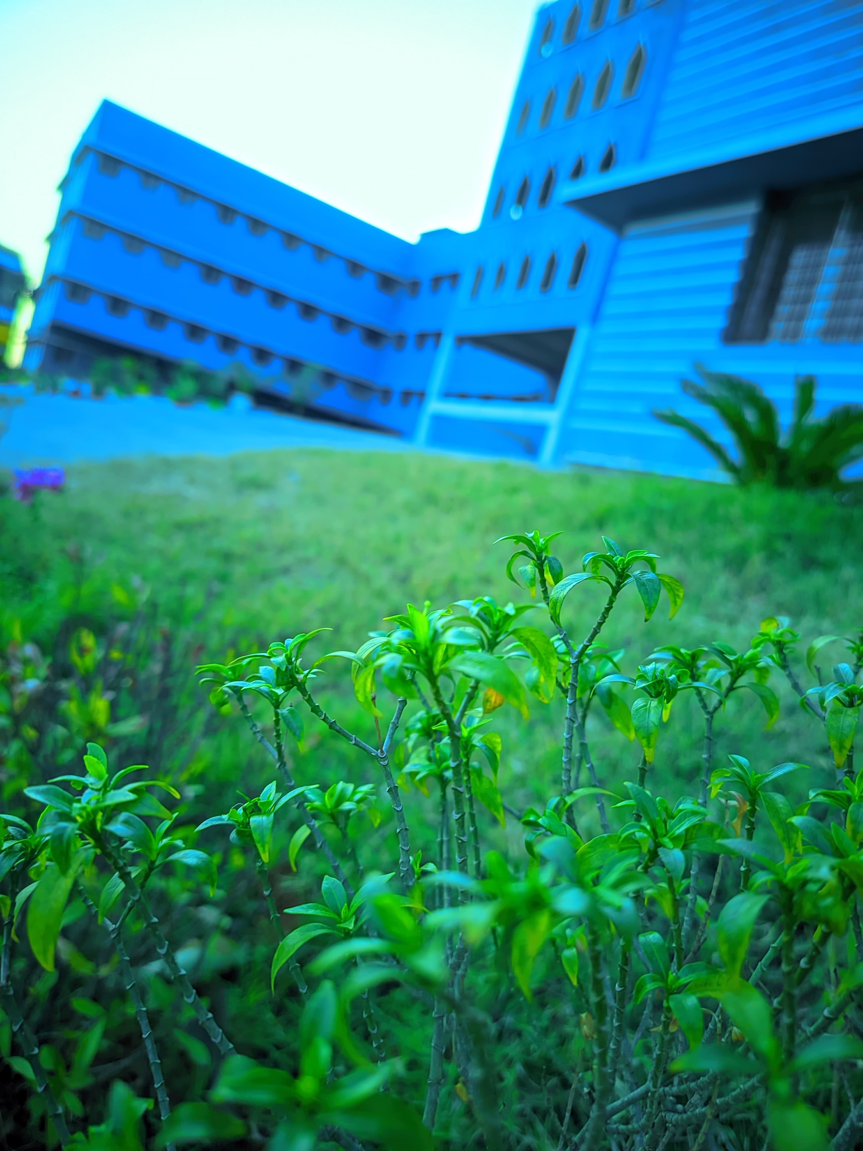 A.G. College of Nursing, Boakro Campus photo 38