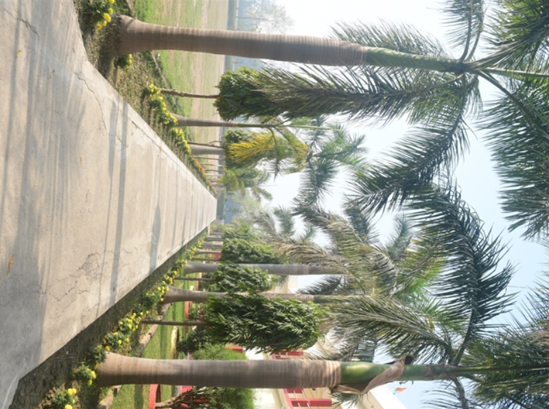 S K Mishra College of Pharmacy Infrastructure photo 9
