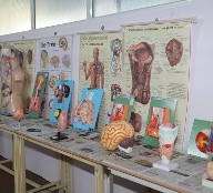 Vanshika Group of Institutions Bangalore Campus photo 3