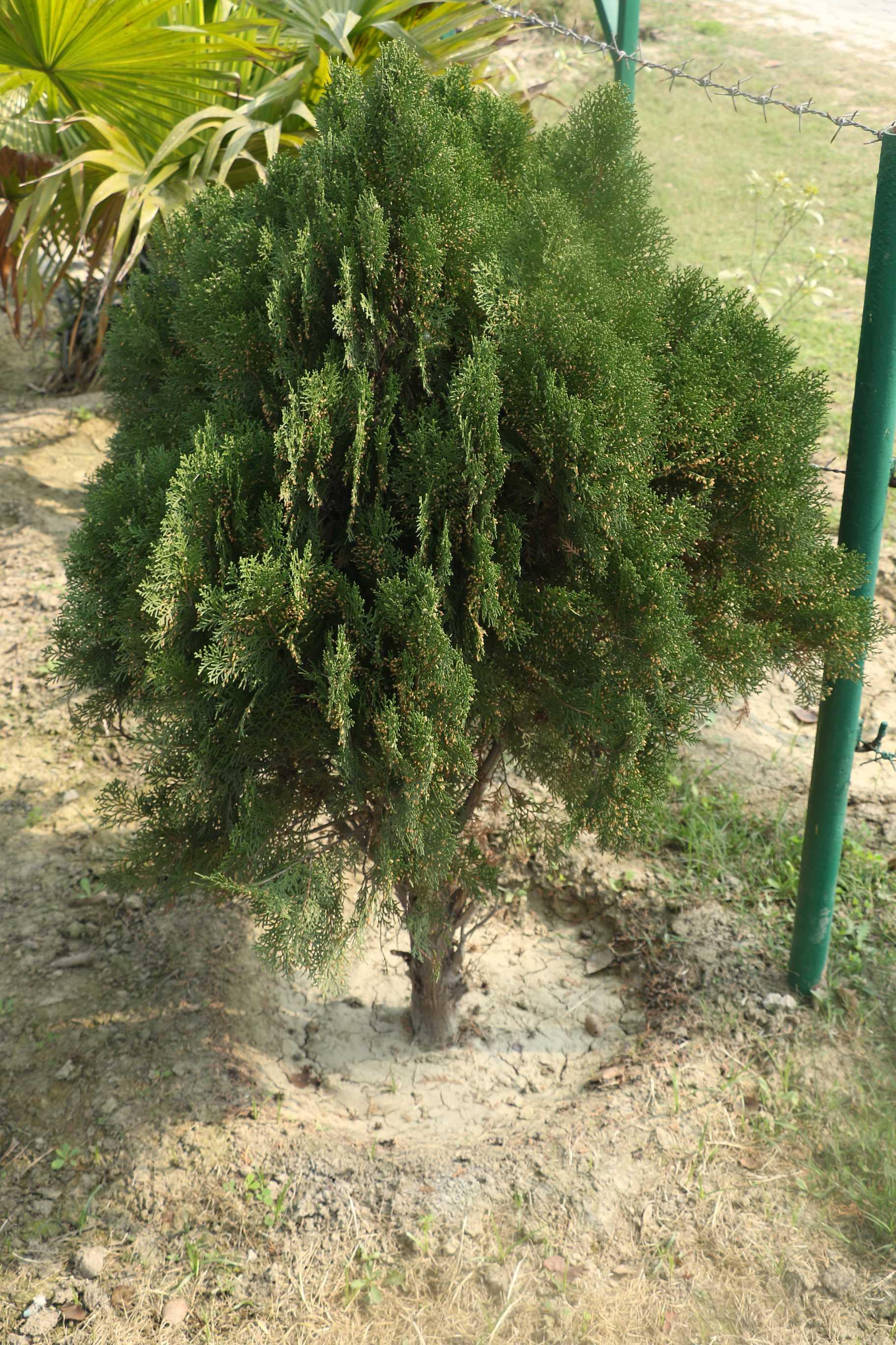 SRMU Activity photo 57