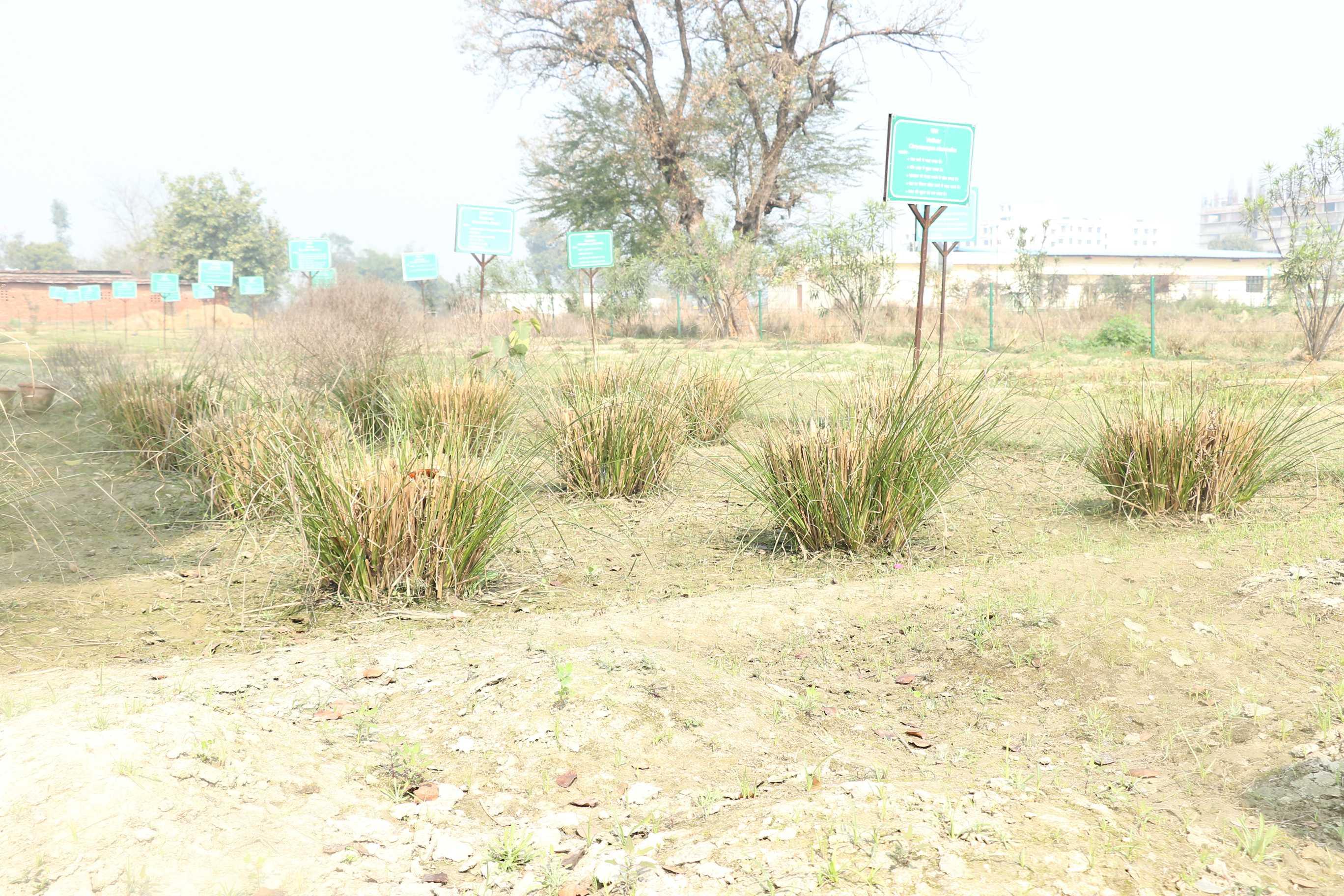 SRMU Activity photo 58