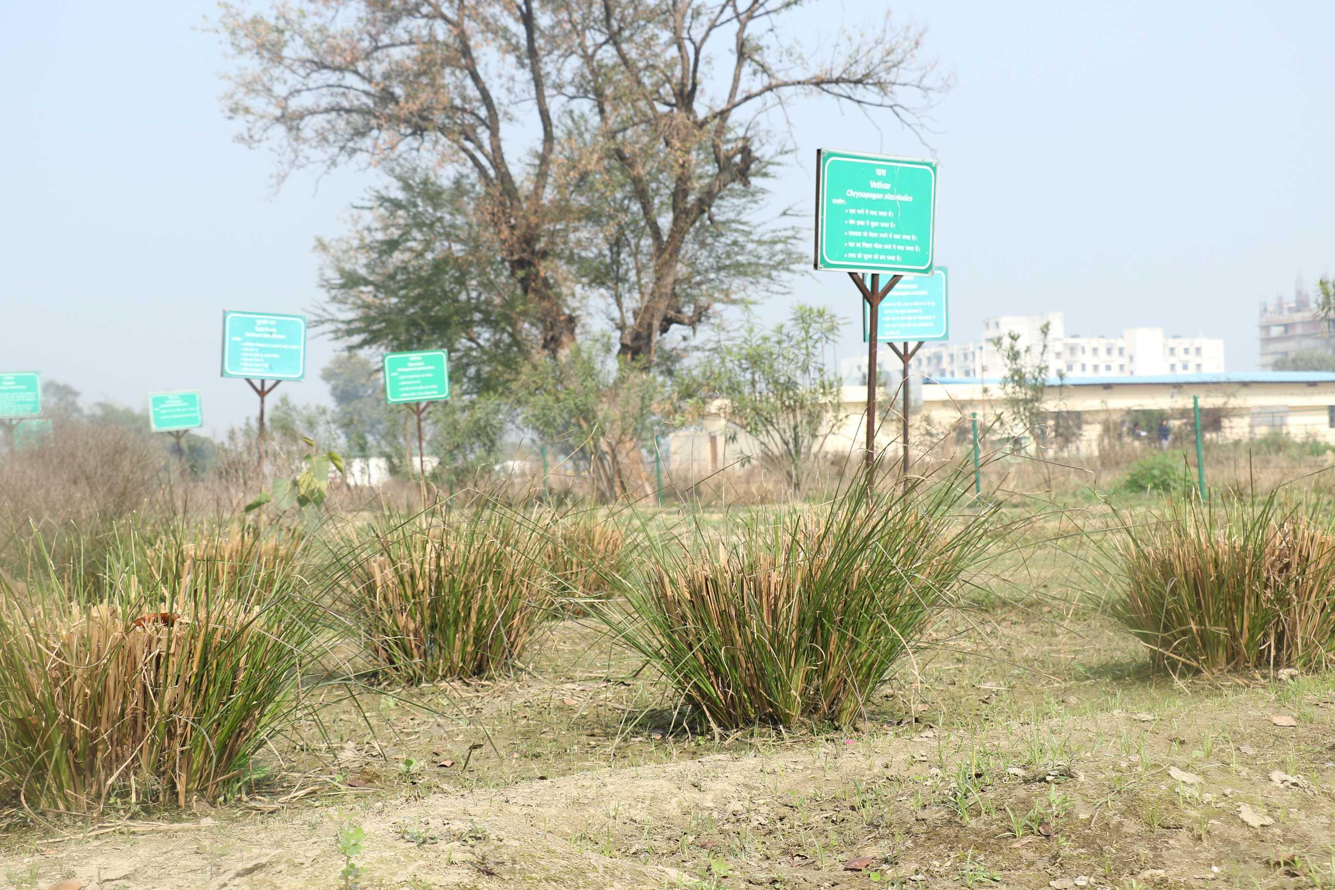 SRMU Activity photo 59