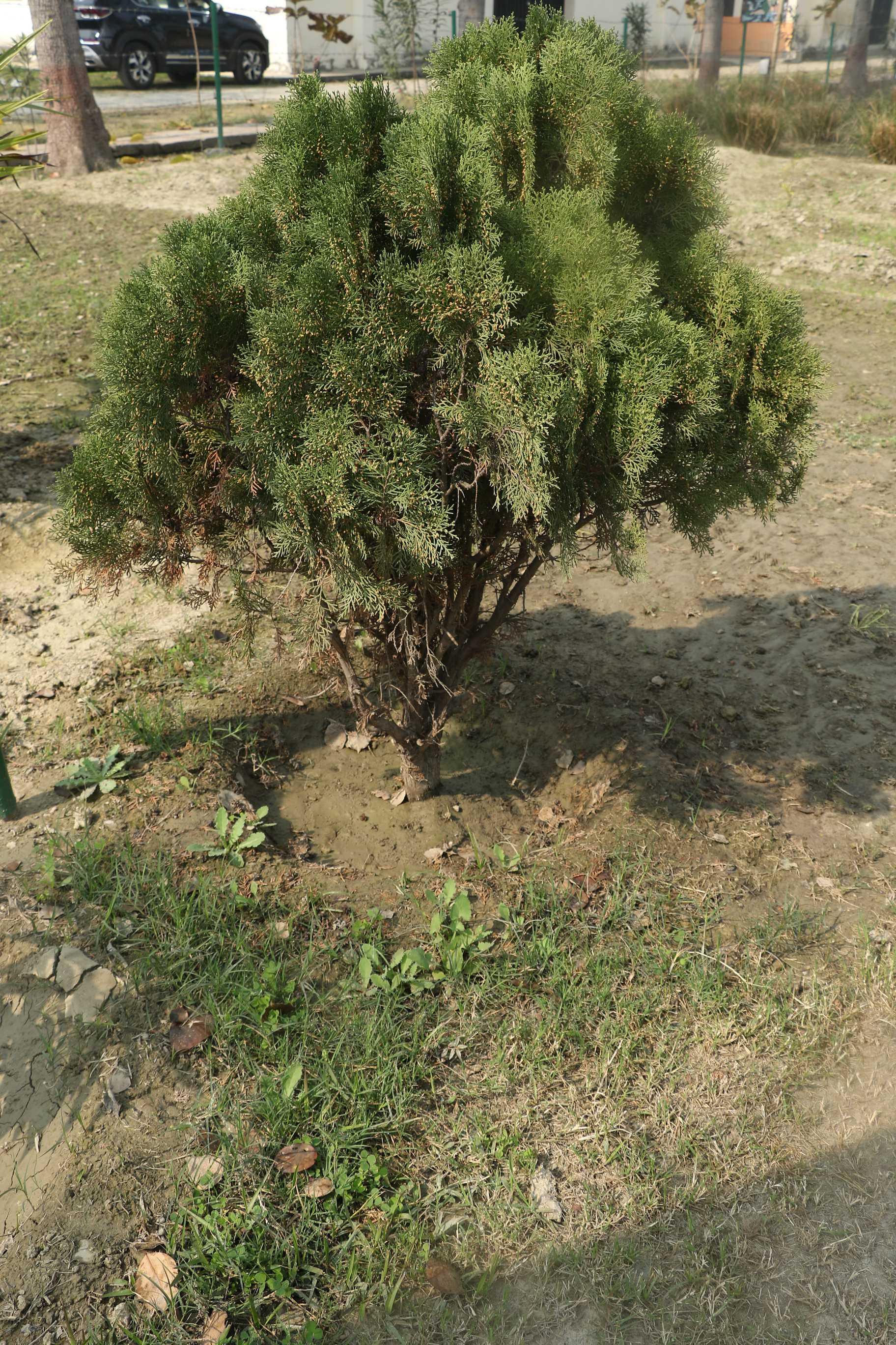 SRMU Activity photo 60