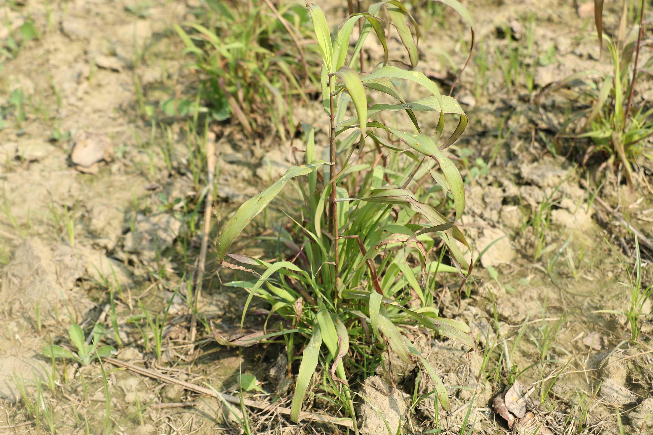 SRMU Activity photo 61