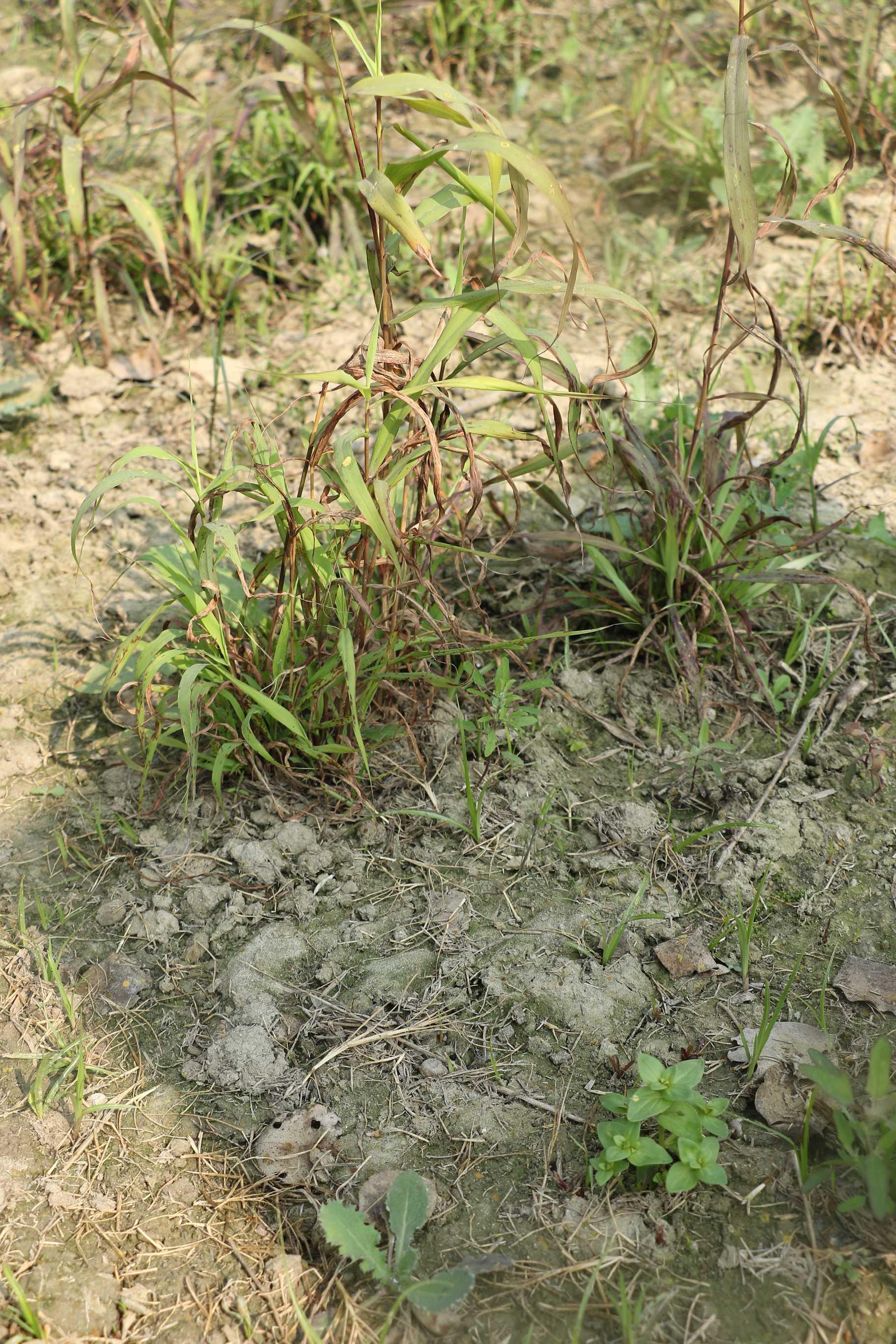 SRMU Activity photo 62