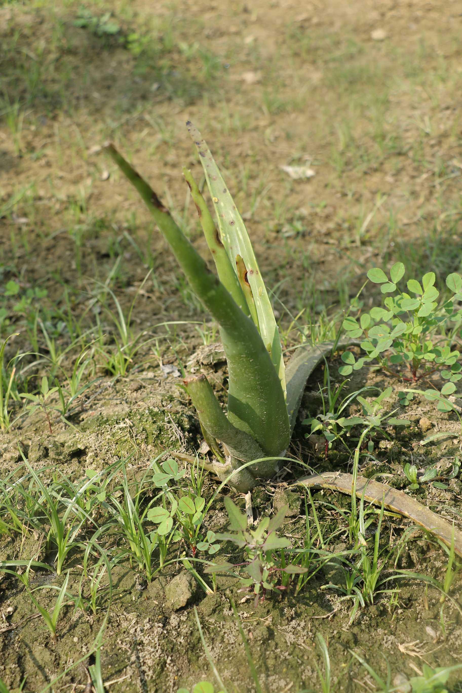 SRMU Activity photo 63