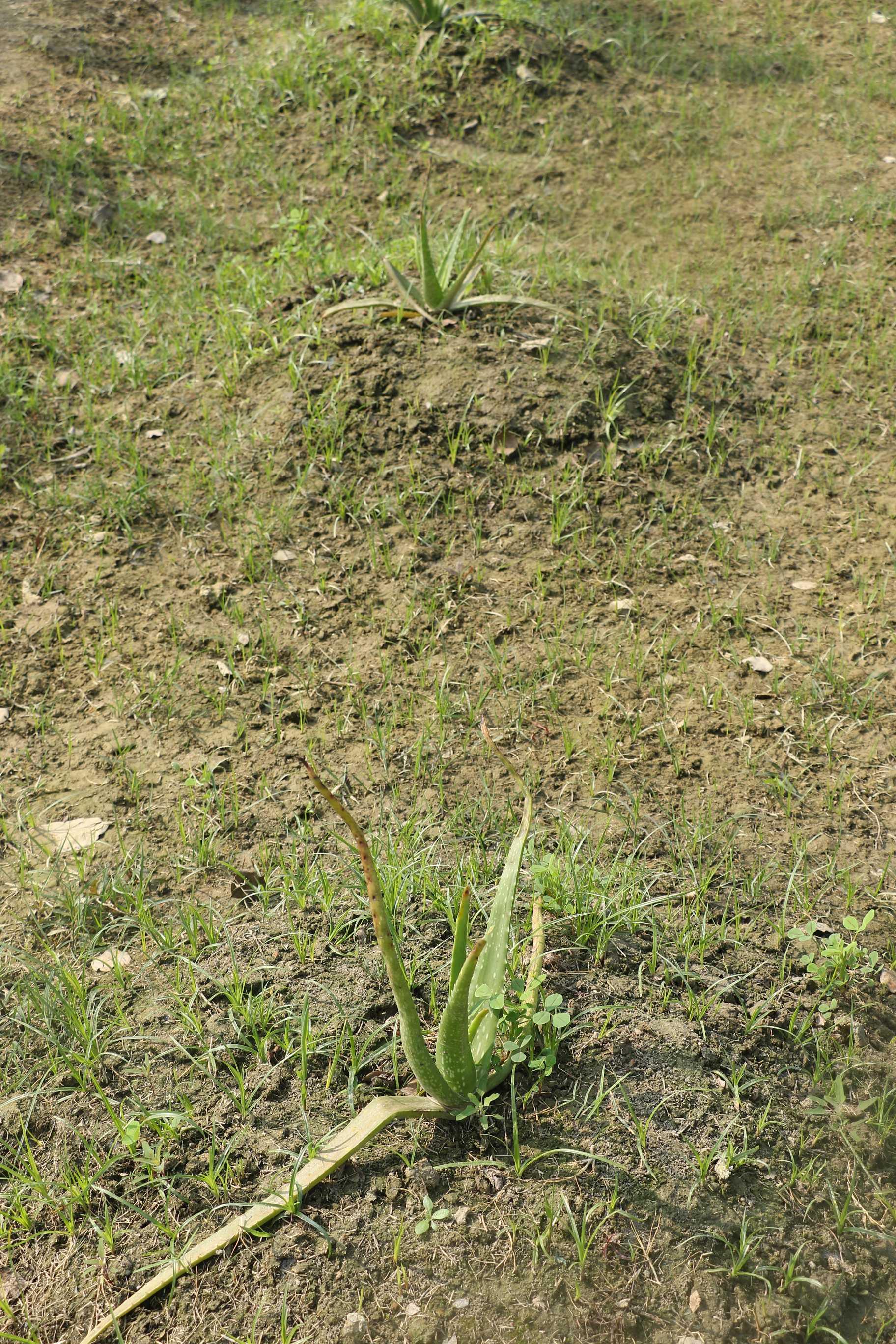 SRMU Activity photo 64