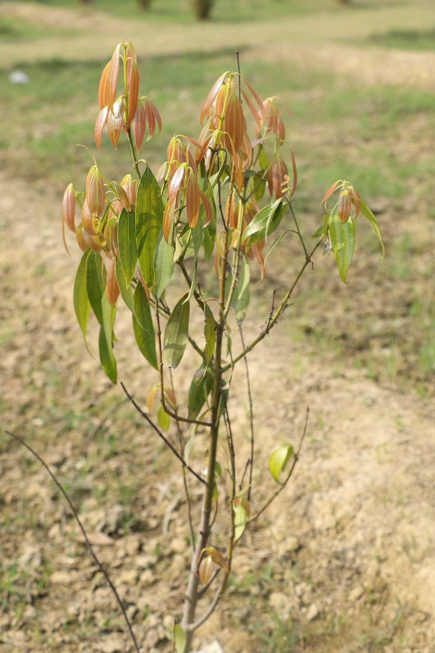 SRMU Activity photo 65