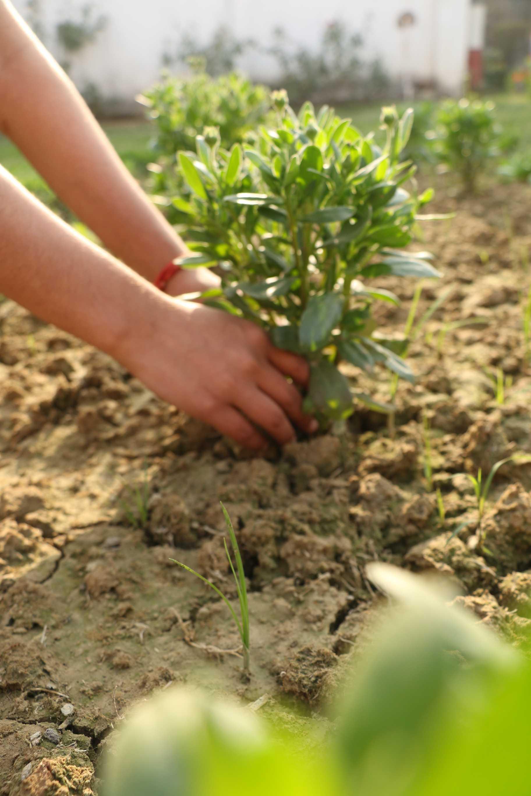 SRMU Activity photo 69