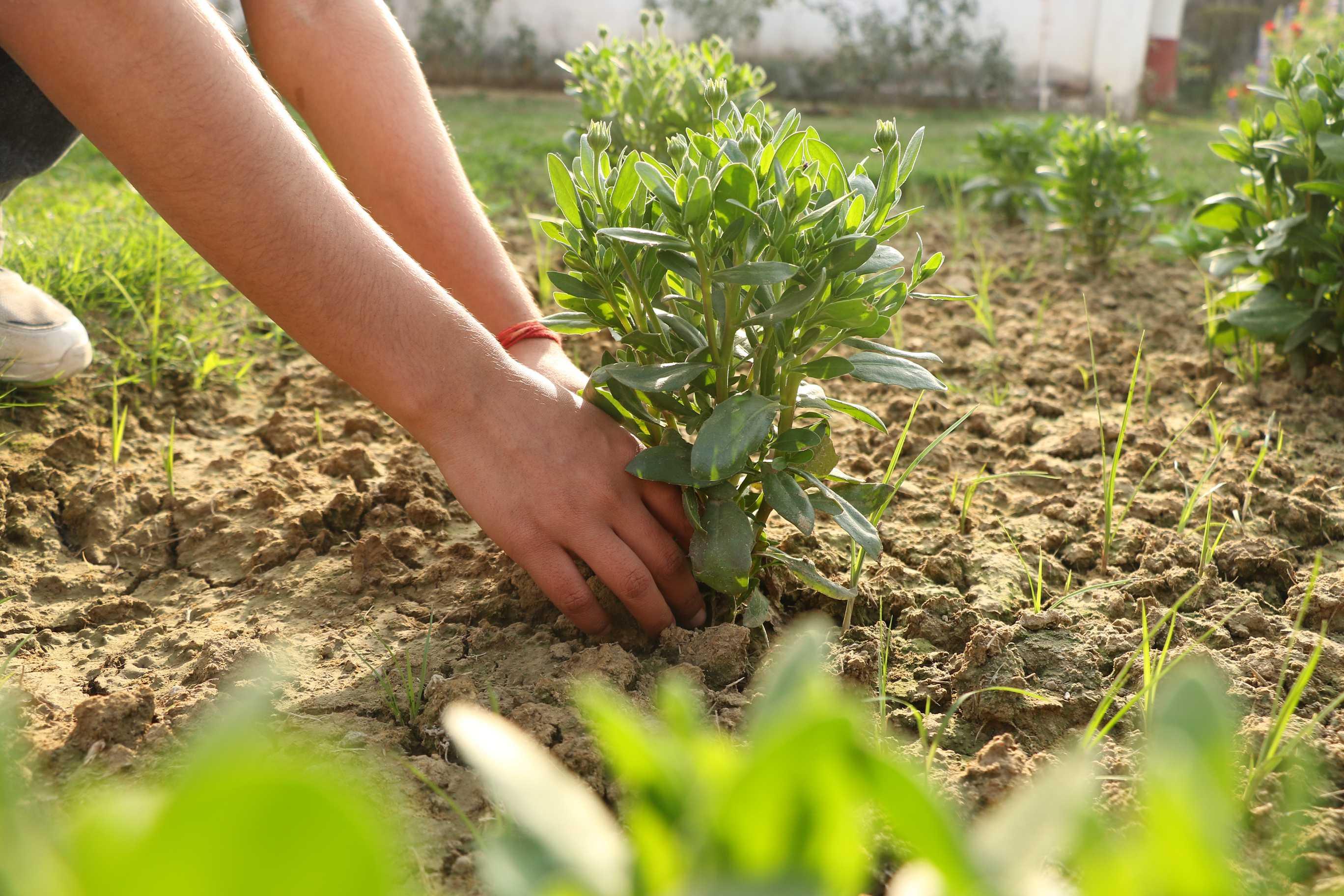 SRMU Activity photo 70