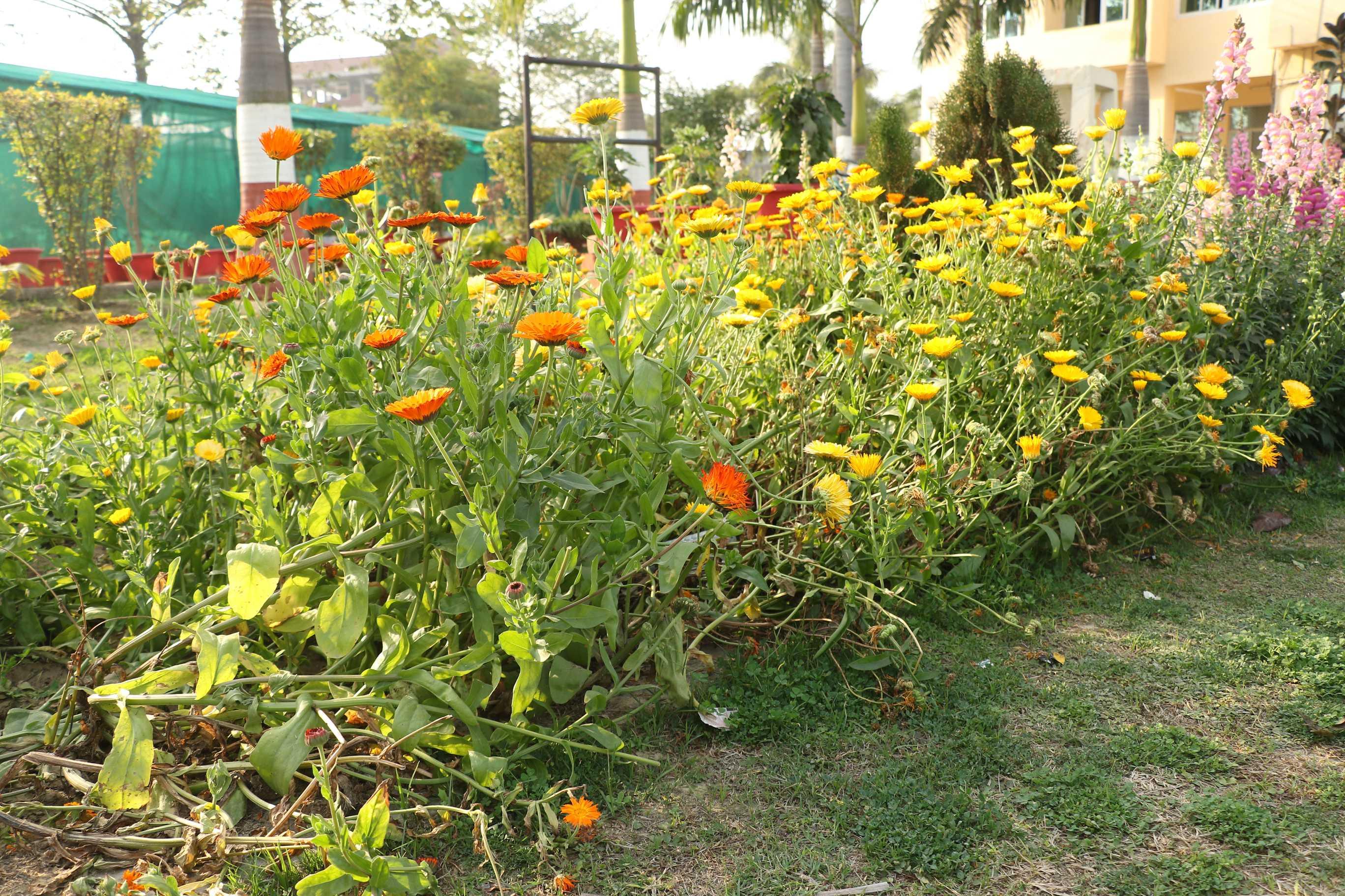 SRMU Activity photo 73