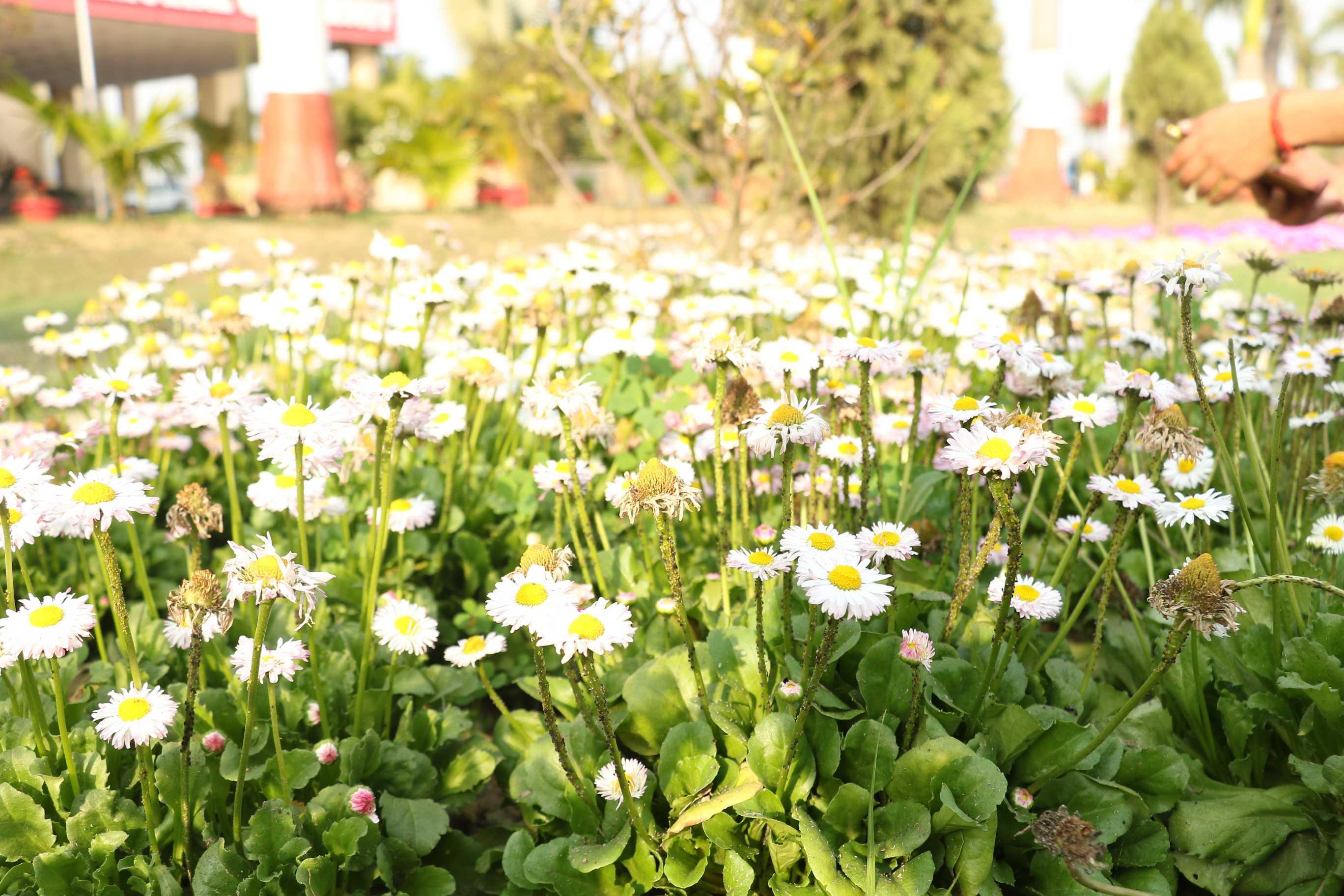 SRMU Activity photo 74