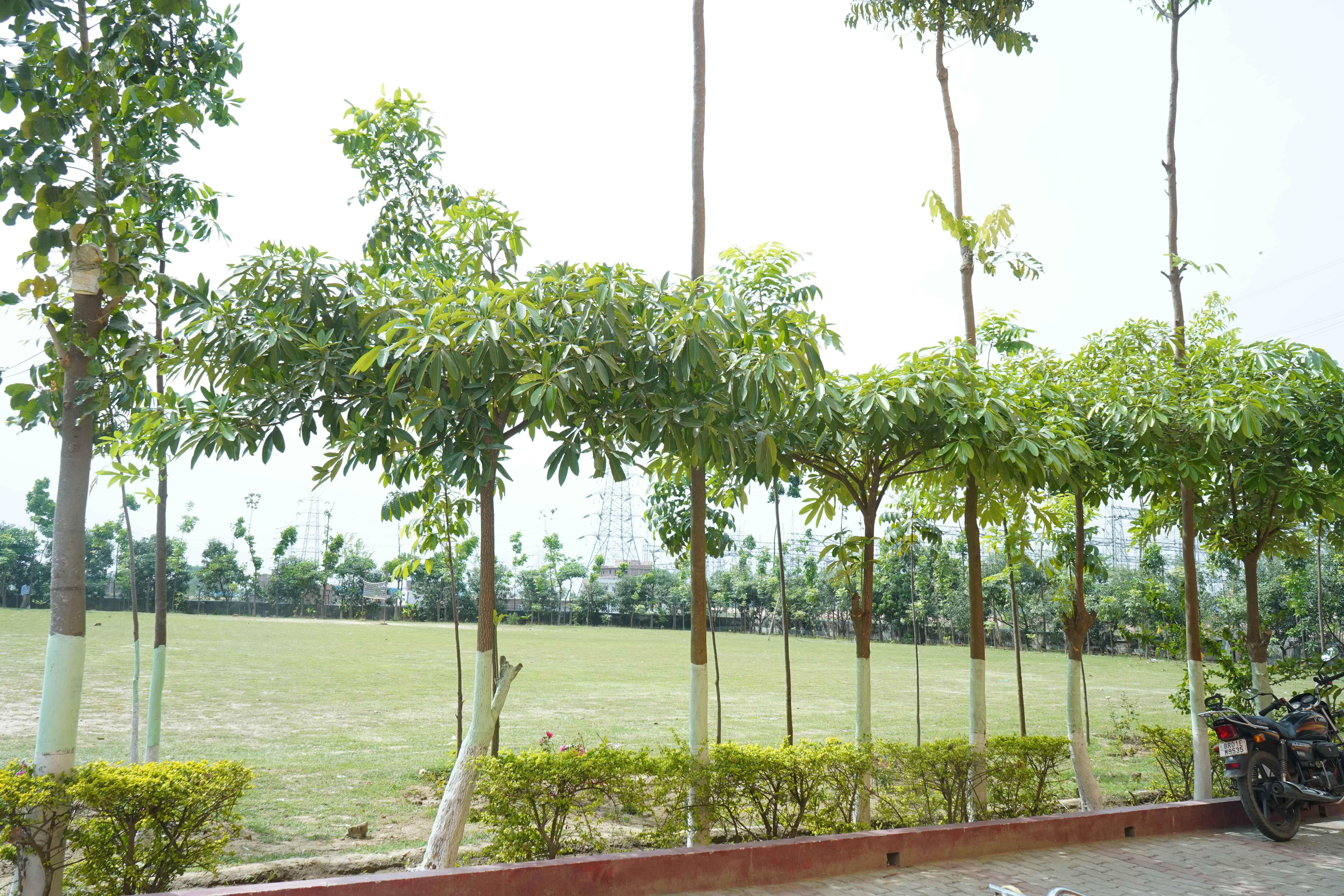 Satyam Shivam Sundaram Group of Institution Campus photo 2