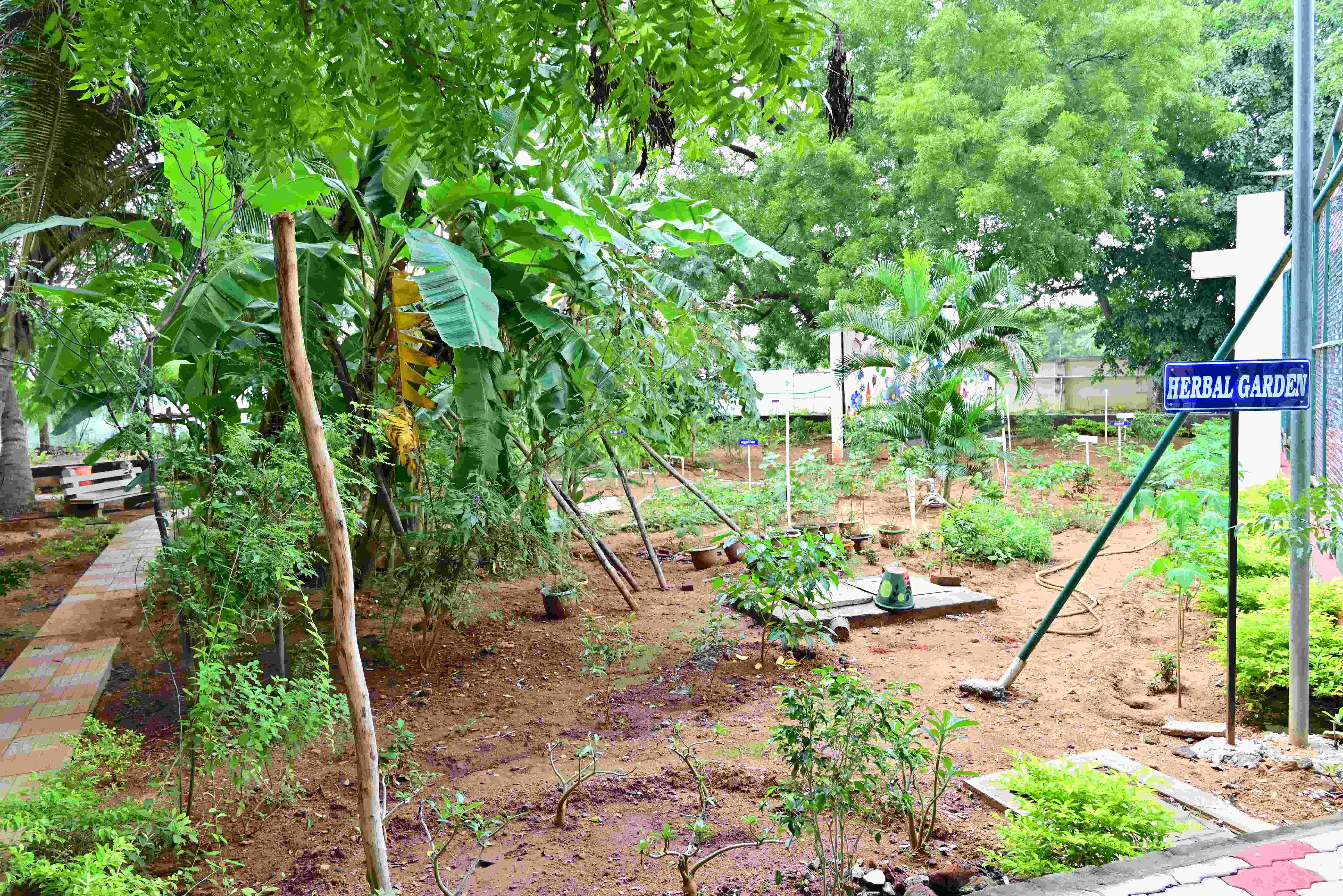 Aiman College of Arts and Science for Women Tiruchirappalli Campus photo 31