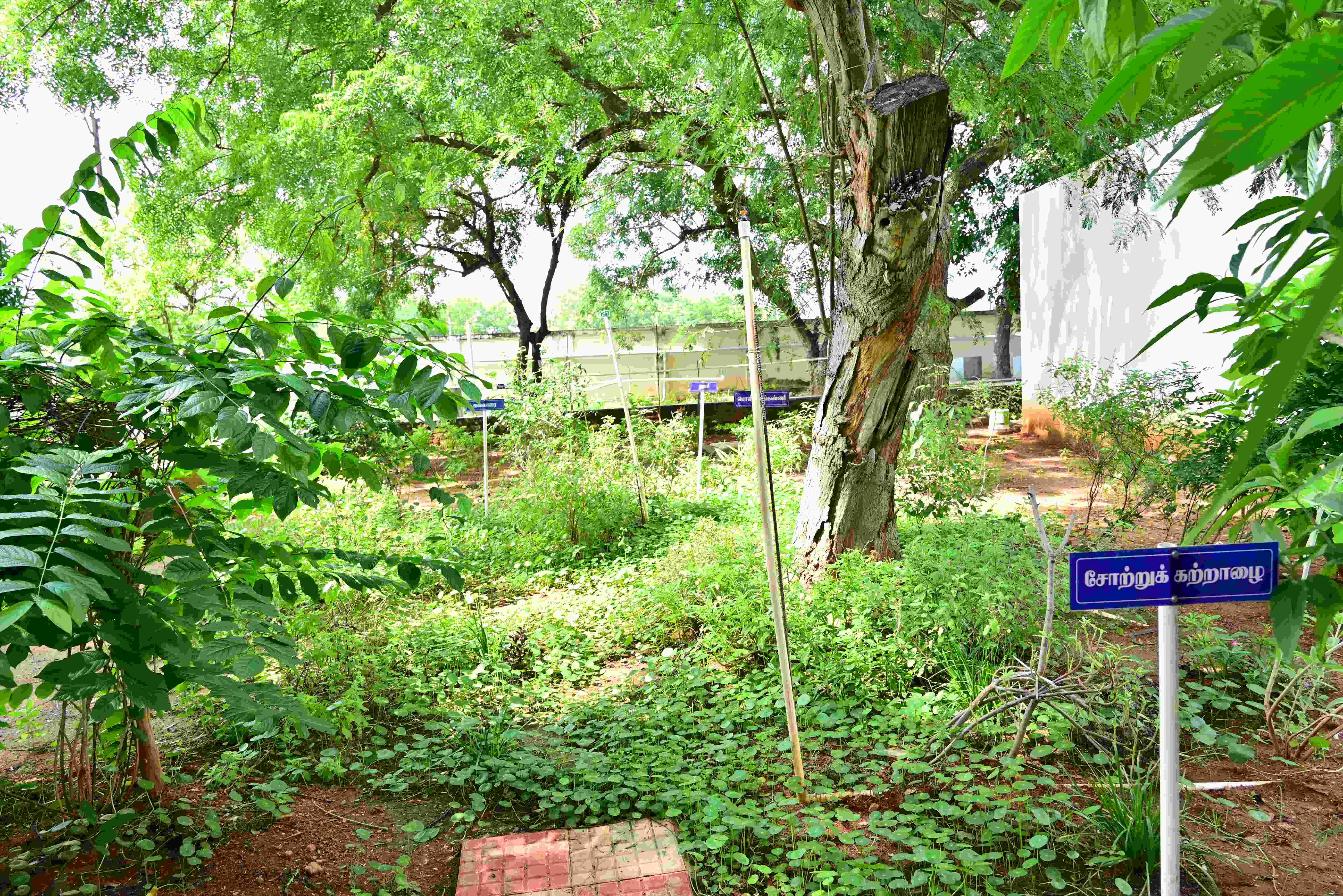 Aiman College of Arts and Science for Women Tiruchirappalli Campus photo 32