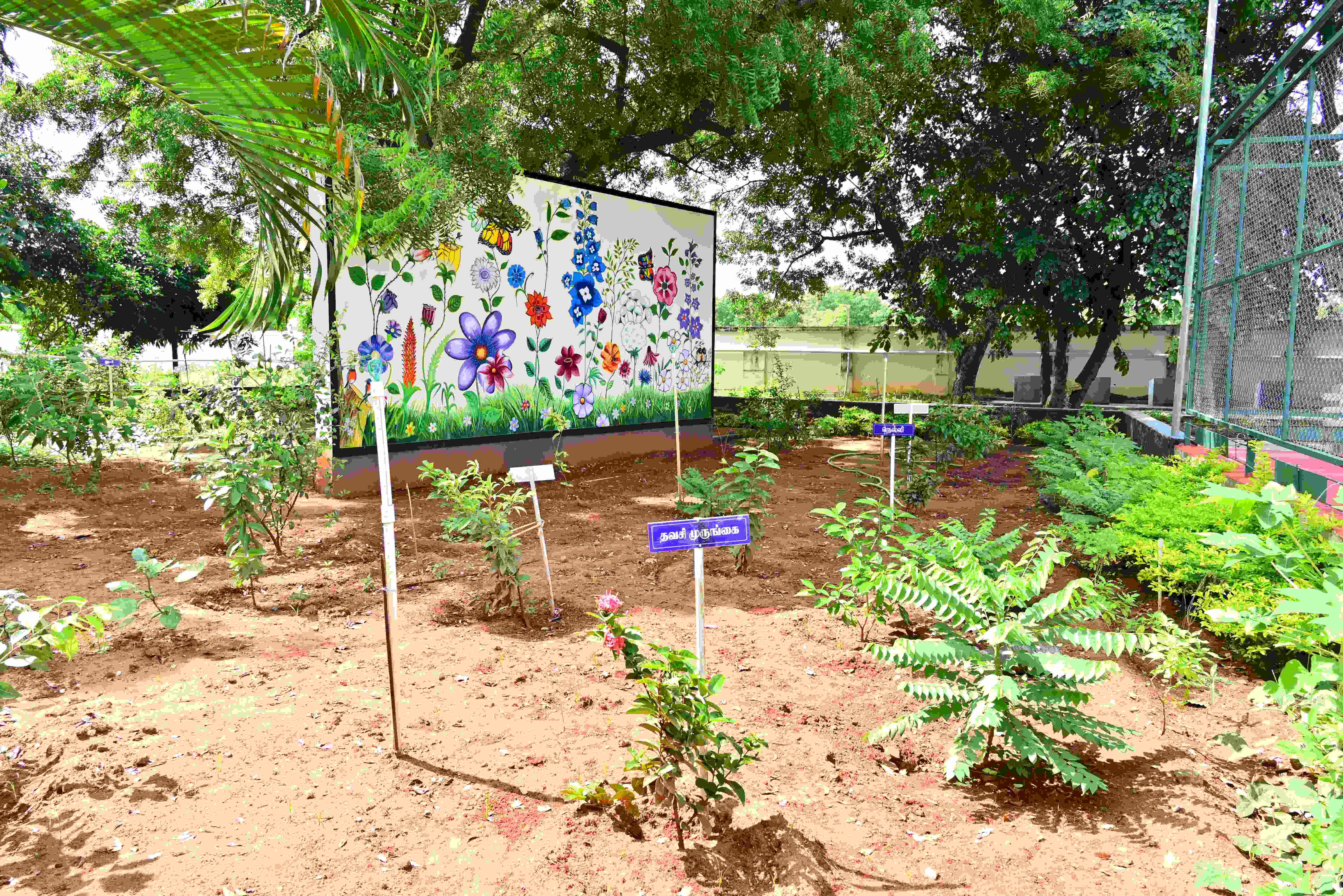 Aiman College of Arts and Science for Women Tiruchirappalli Campus photo 33