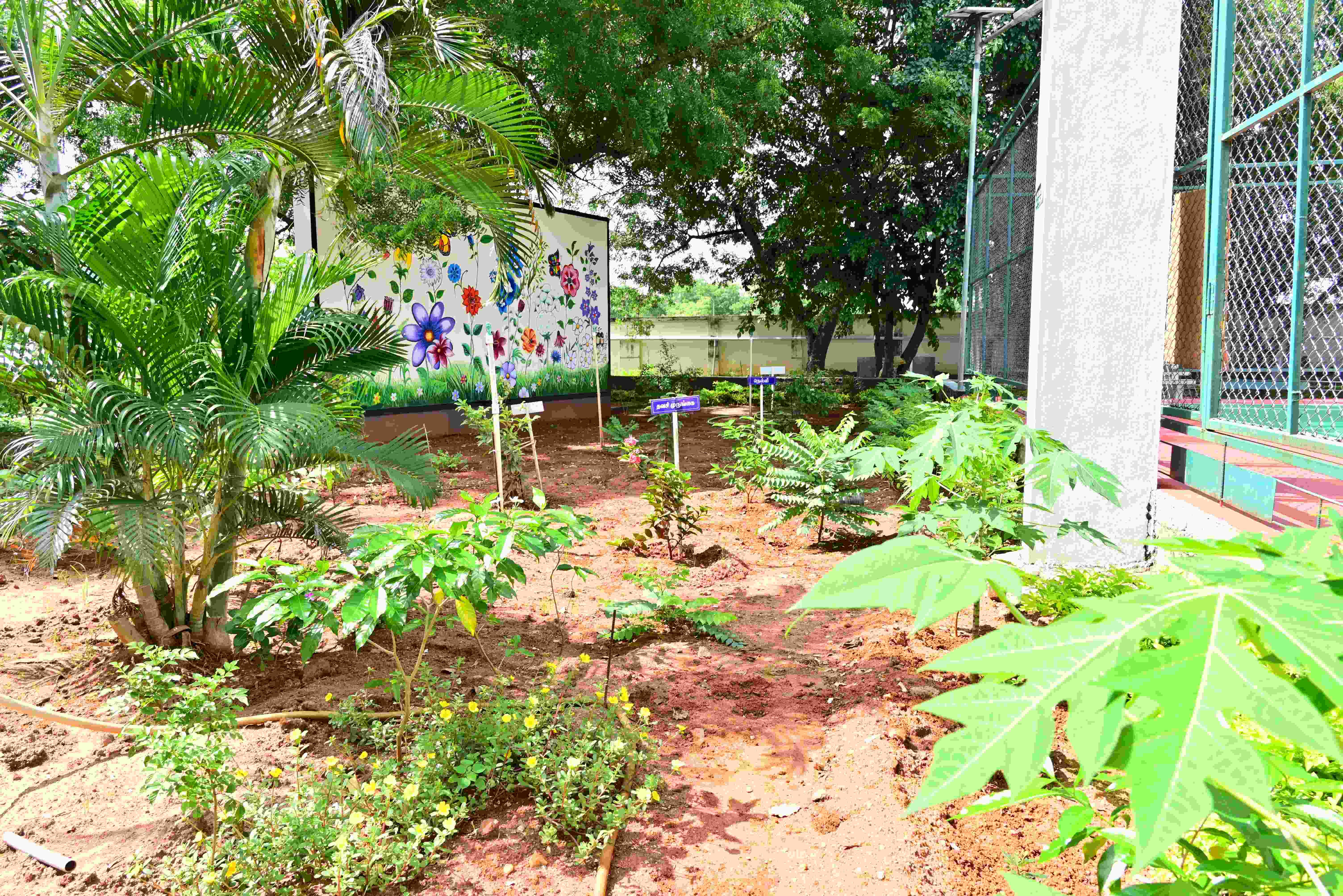 Aiman College of Arts and Science for Women Tiruchirappalli Campus photo 34