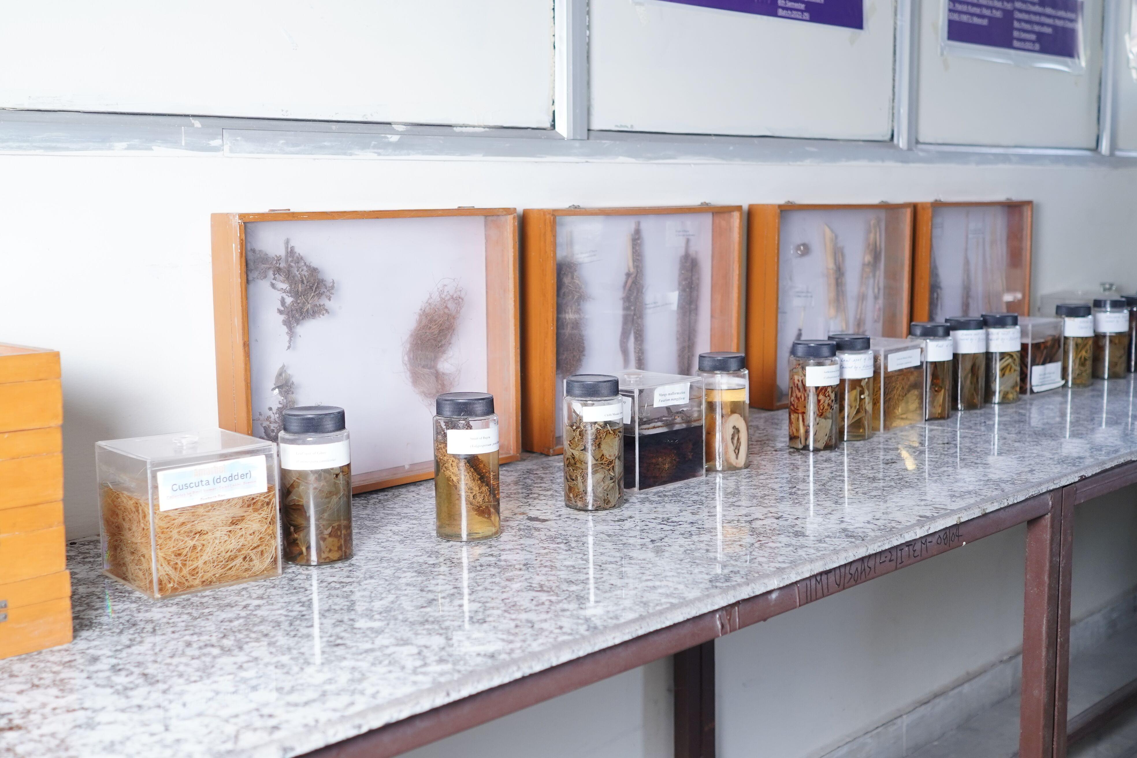 IIMT University Meerut Labs photo 5