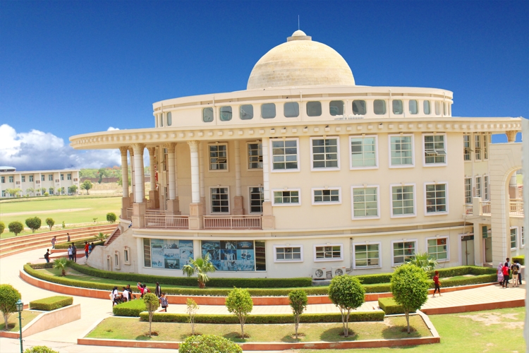 NIU Noida Campus photo 14