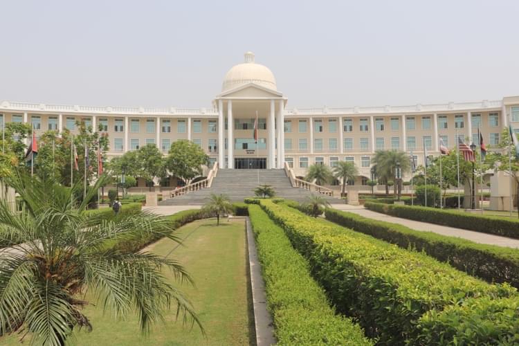 NIU Noida Campus photo 16