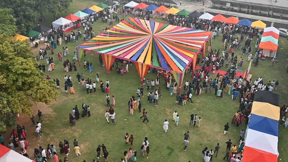 GD Goenka University Gurgaon Fest photo 25