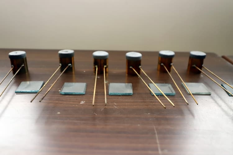 SAGE University Bhopal University Pictures photo 34