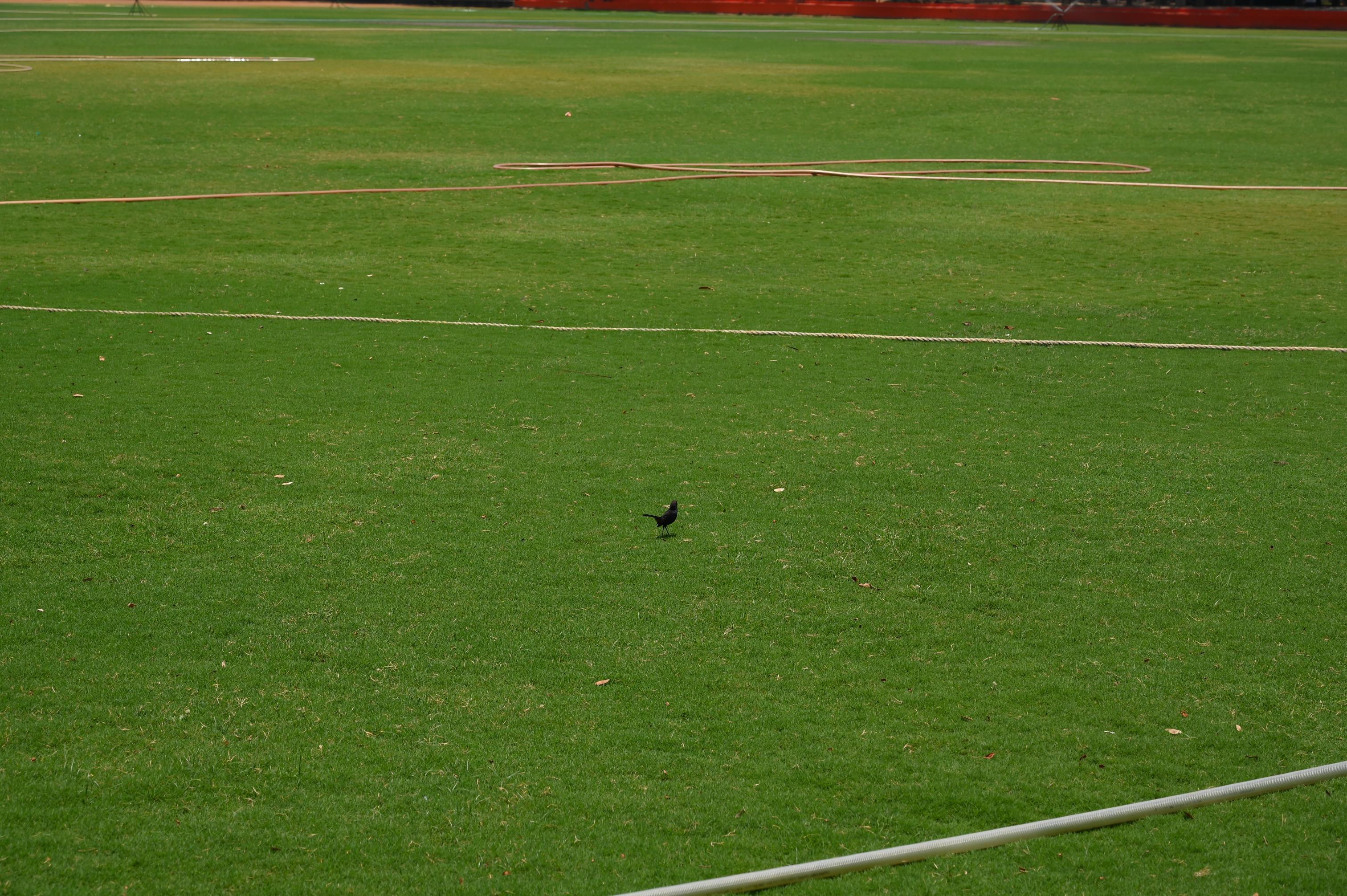 MLR Institute of Technology - MLID College View photo 30