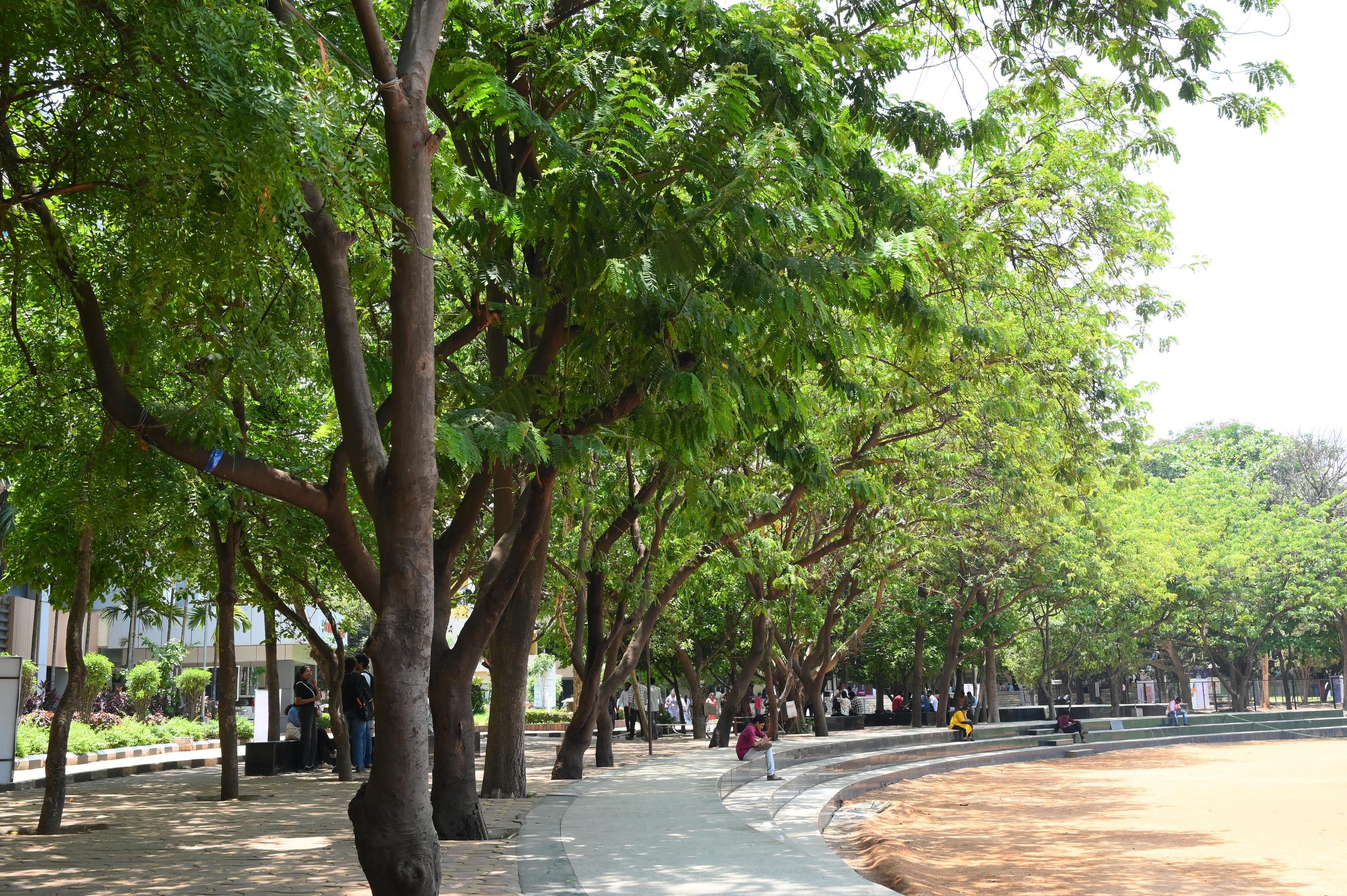 MLR Institute of Technology - MLID College View photo 48