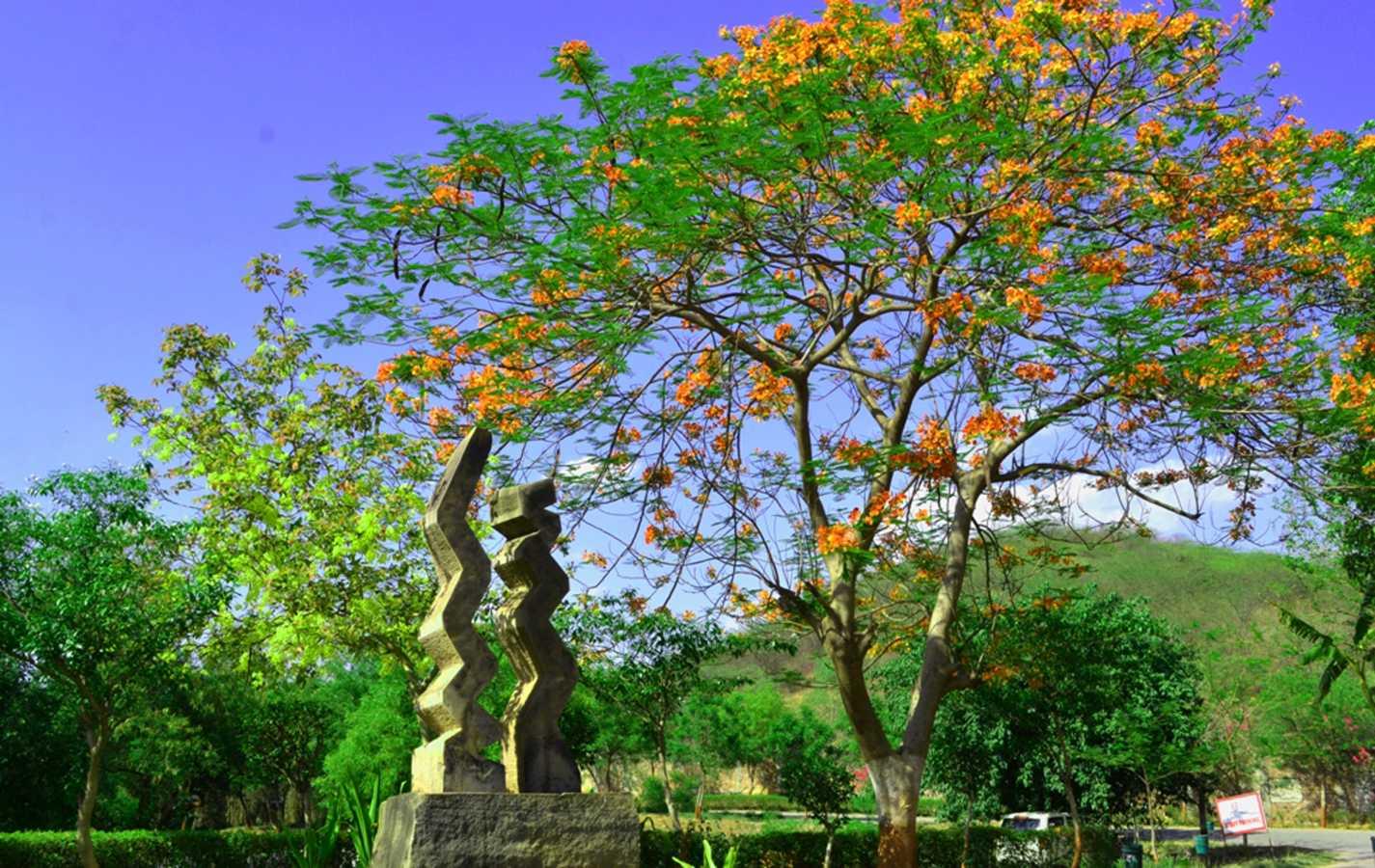 ITM University Gwalior Infrastructure photo 11