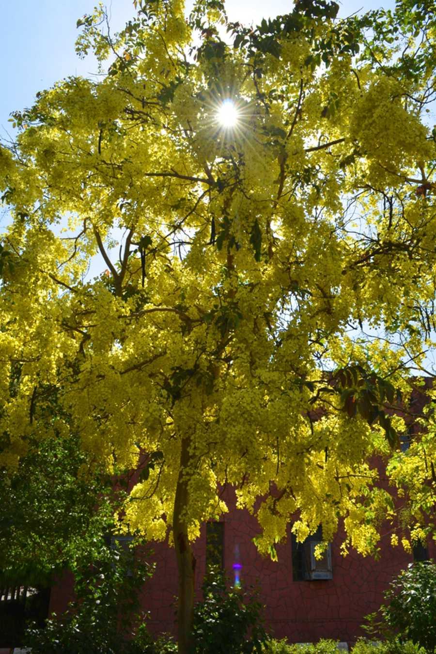 ITM University Gwalior Infrastructure photo 12