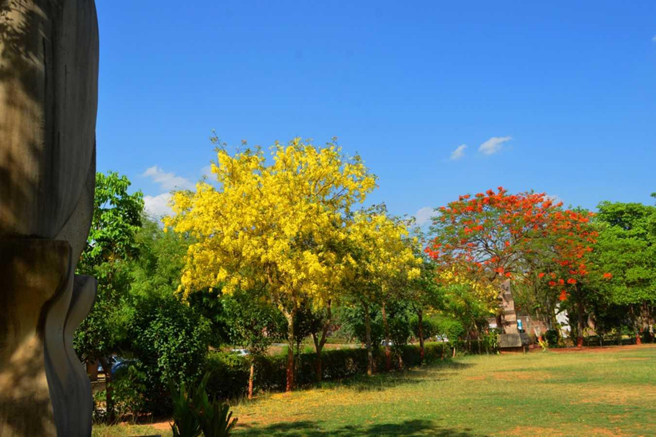 ITM University Gwalior Infrastructure photo 13