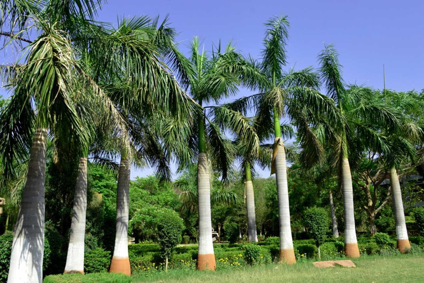 ITM University Gwalior Infrastructure photo 14