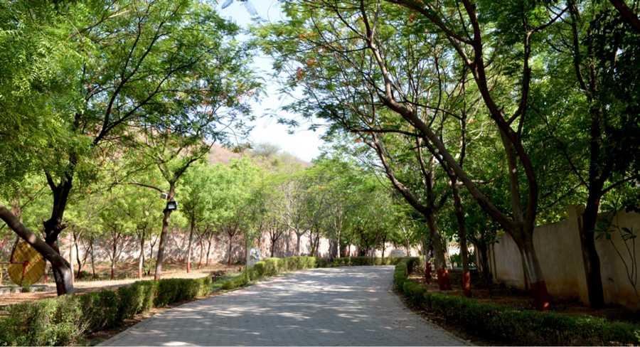 ITM University Gwalior Infrastructure photo 17