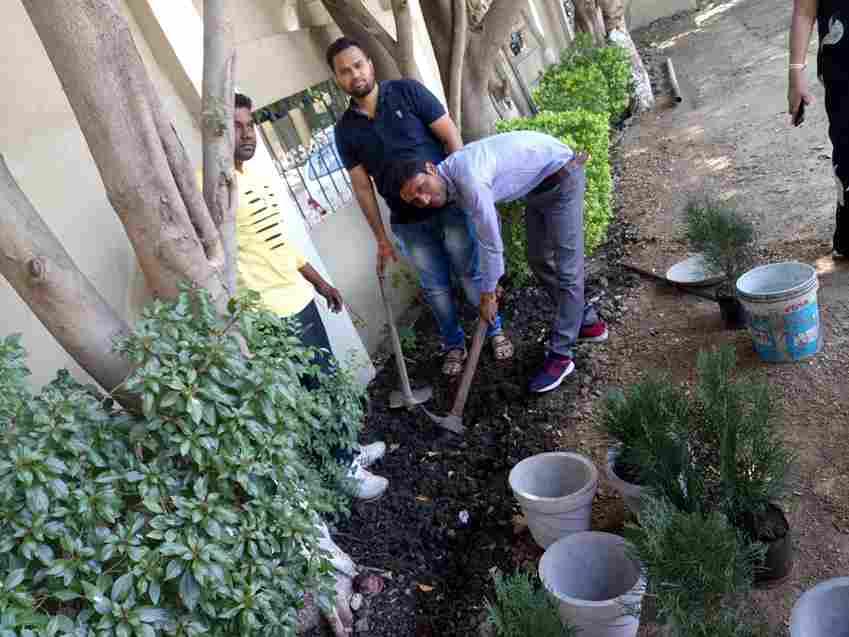 Annie Besant College Indore Green Initiative photo 4
