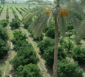 Surendera Group of Institutions - [SGI] Events photo 65