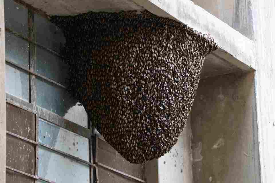 Surendera Group of Institutions - [SGI] Sports photo 21