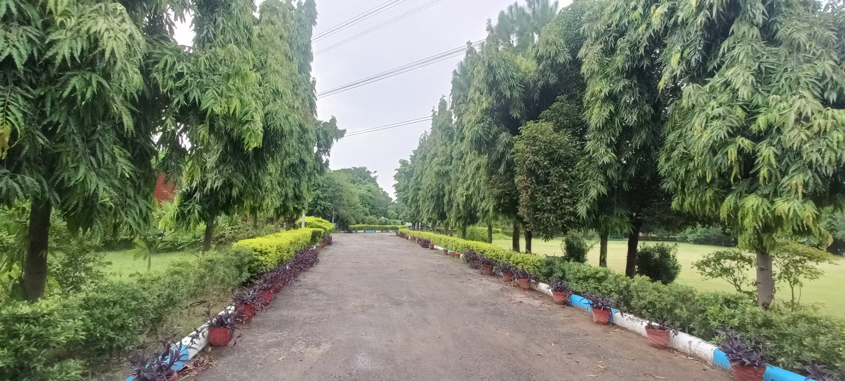 JK Business School Gurgaon Campus Facilities photo 1