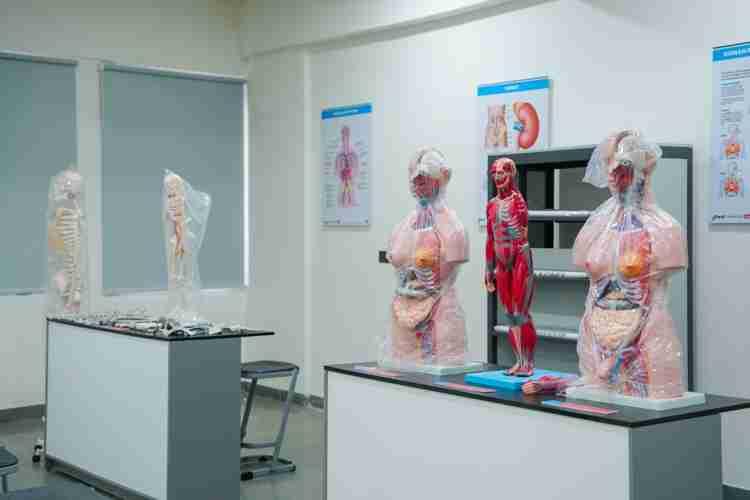 Parul University Goa Preclinical Science Lab photo 6