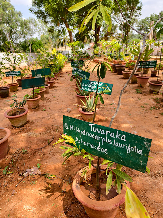 Indian Institute of Ayurvedic Medicine and Research Bangalore Infrastructure photo 10