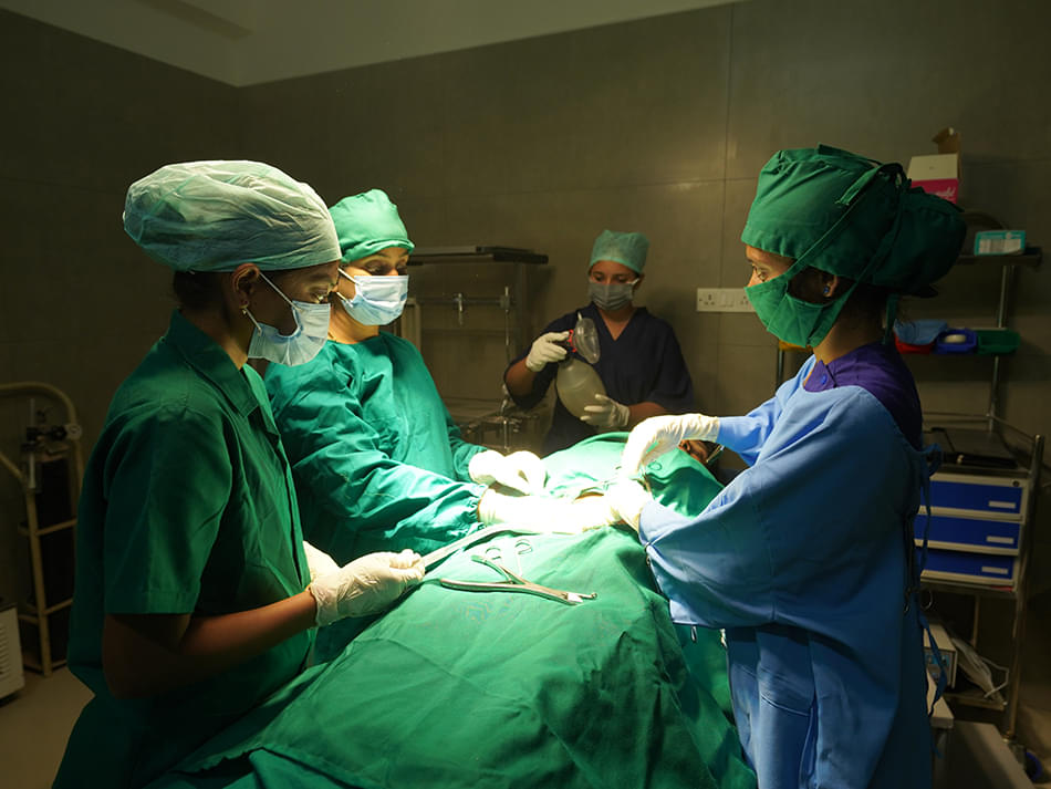 Indian Institute of Ayurvedic Medicine and Research Bangalore Infrastructure photo 17