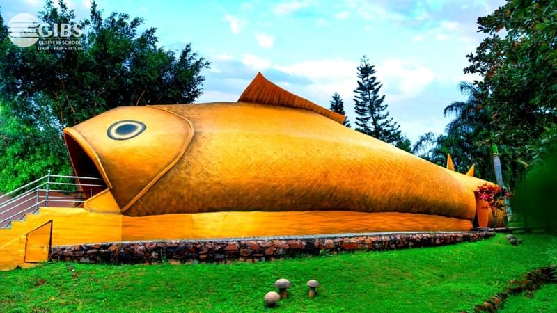 GIBS Bangalore Infrastructure photo 19