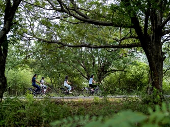 BIM Trichy Coffeetable photo 14