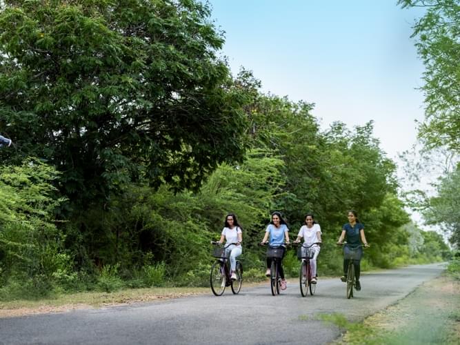 BIM Trichy Coffeetable photo 13