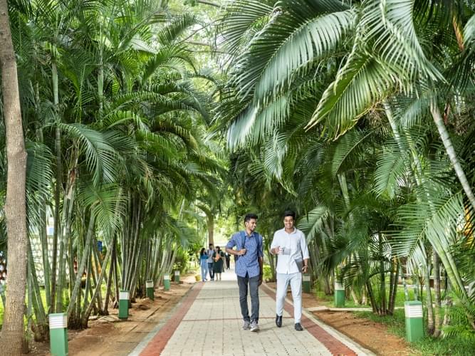 BIM Trichy Coffeetable photo 11