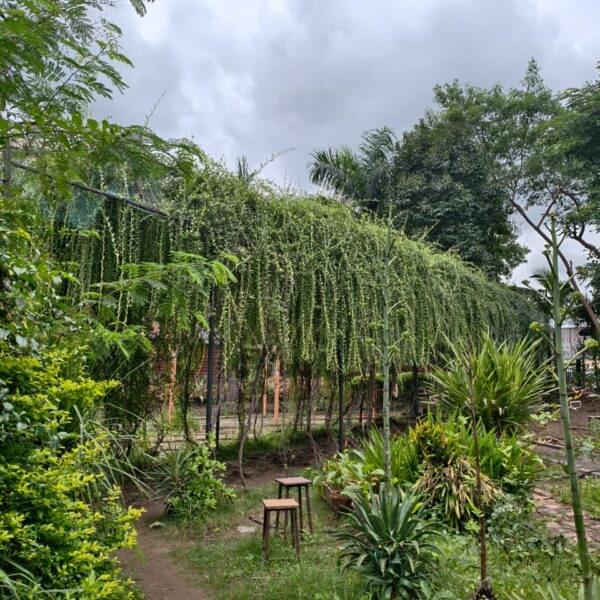 Central Province Physiotherapy College (CPPC) College Gallery photo 5