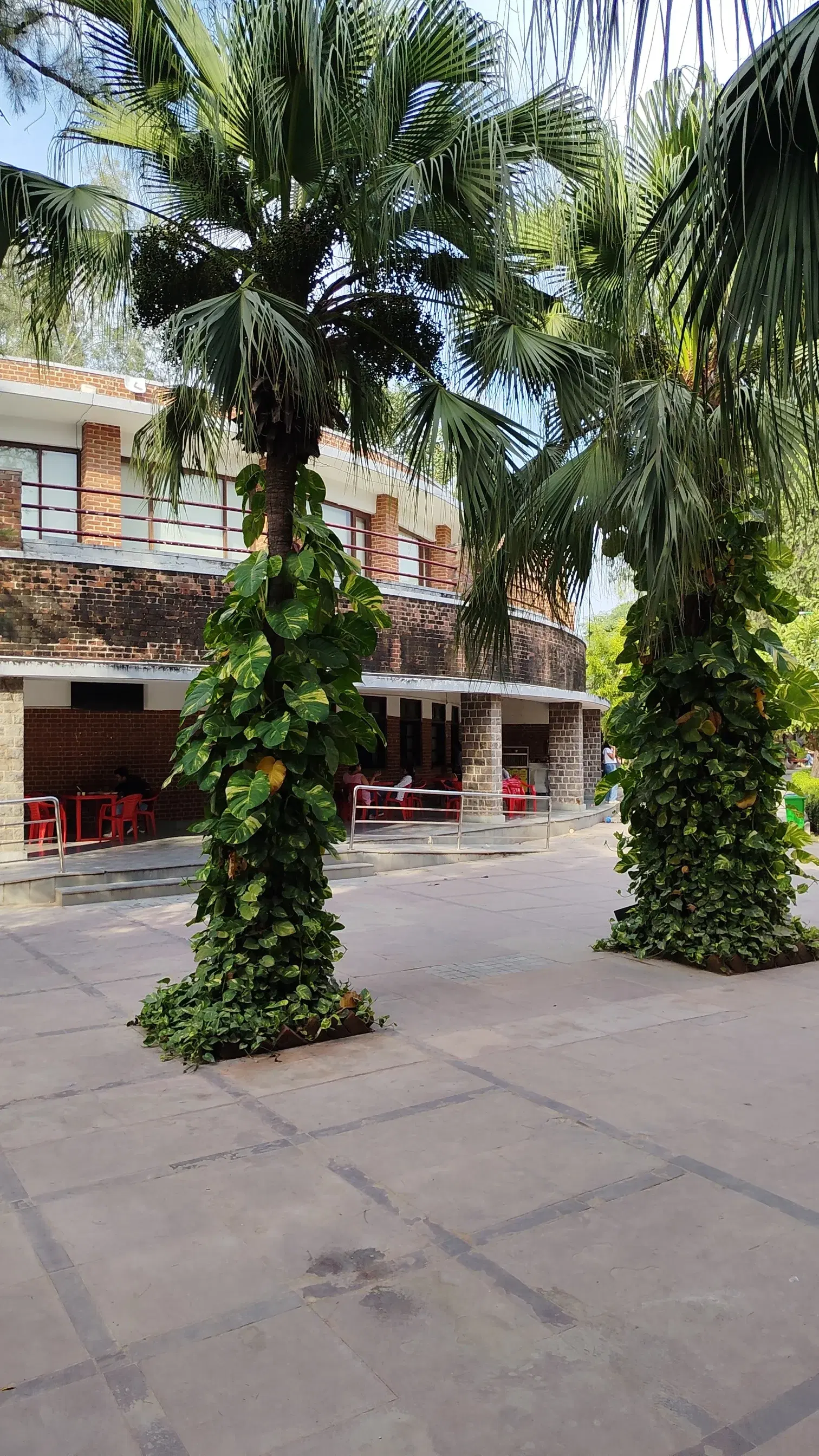 Miranda House Campus photo 32