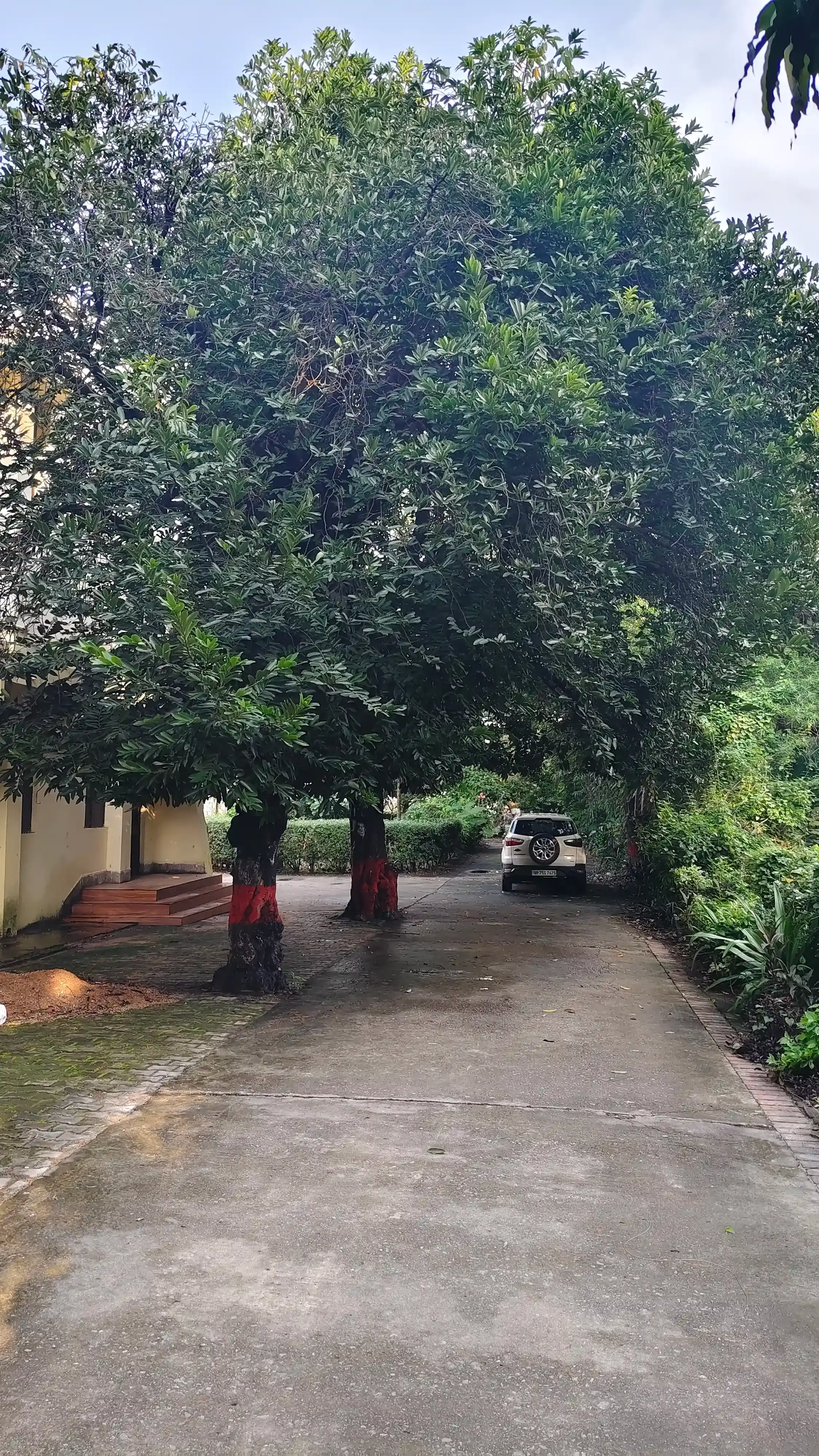 University of Lucknow Pathway photo 4