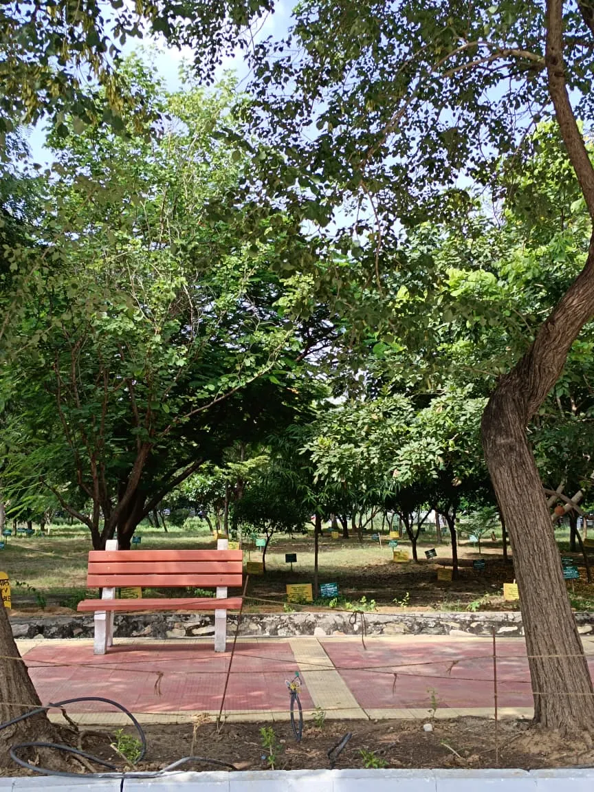 Manipal University Jaipur Campus photo 1